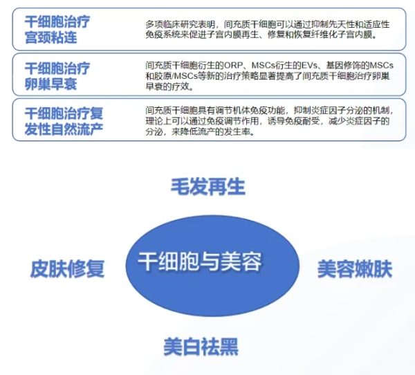 w88win优德·(中国)手机版官网