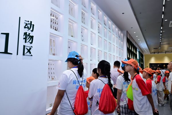 w88win优德·(中国)手机版官网